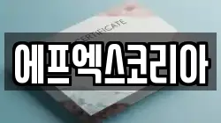에프엑스코리아