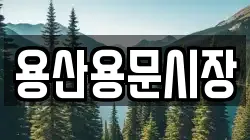 용산용문시장