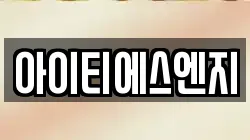 아이티에스엔지