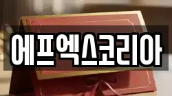 에프엑스코리아