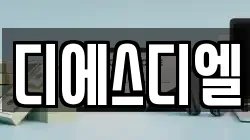 디에스디엘