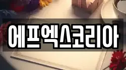 에프엑스코리아