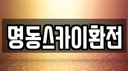 명동스카이환전