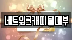 네트워크캐피탈대부