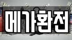 메가환전