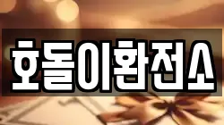 호돌이환전소