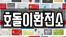 호돌이환전소