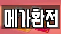 메가환전