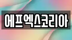 에프엑스코리아