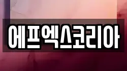 에프엑스코리아