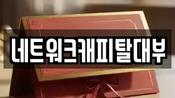 네트워크캐피탈대부