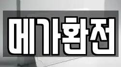 메가환전
