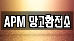 APM 망고환전소