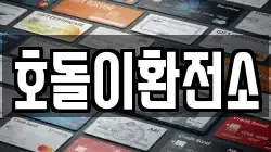 호돌이환전소