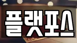 플랫포스