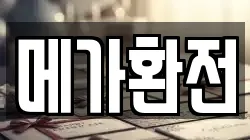 메가환전