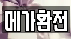 메가환전