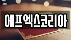 에프엑스코리아