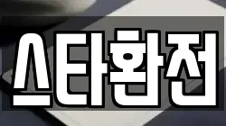 스타환전