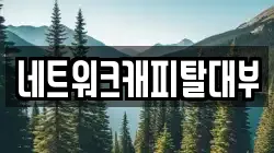 네트워크캐피탈대부