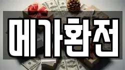 메가환전