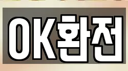 OK환전