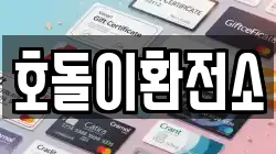 호돌이환전소