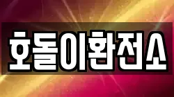 호돌이환전소