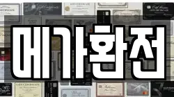 메가환전