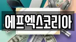 에프엑스코리아