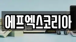 에프엑스코리아