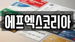 에프엑스코리아