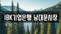 IBK기업은행 남대문시장
