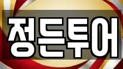 정든투어