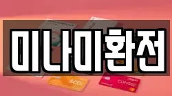 미나미환전