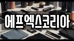 에프엑스코리아