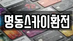 명동스카이환전