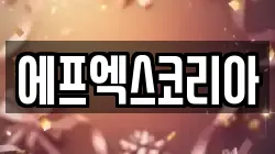에프엑스코리아