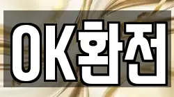 OK환전