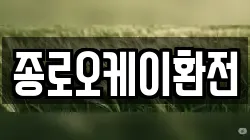 종로오케이환전