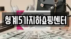 청계5가지하쇼핑센터