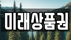 미래상품권