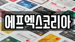 에프엑스코리아