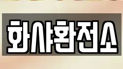 화샤환전소