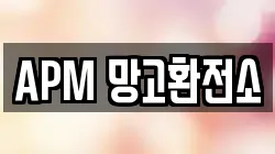 APM 망고환전소