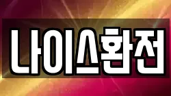 나이스환전