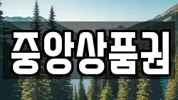 중앙상품권
