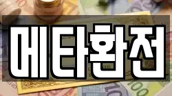 메타환전