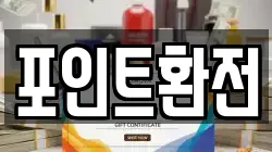 포인트환전