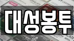 대성봉투